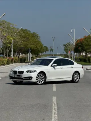 بي إم دبليو 5 Series 2014