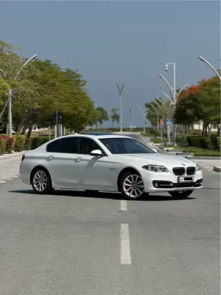 بي إم دبليو 5 Series 2014