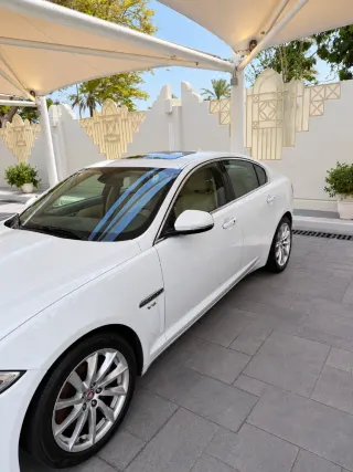 جاكوار Xf 2013
