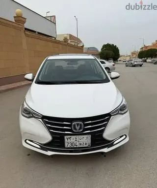 شانجان السفين 2025 — Dubizzle Saudi