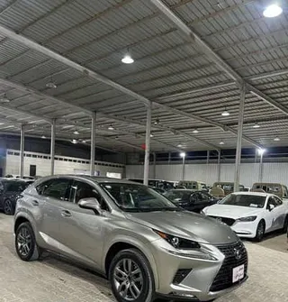Lexus NX 300 2020