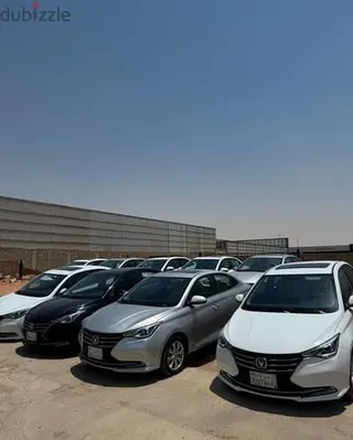شانجان السفين 2024