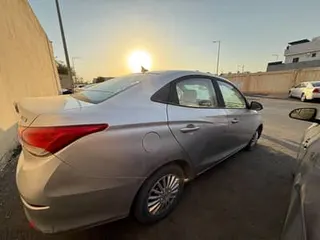 شانجان السفين 2022