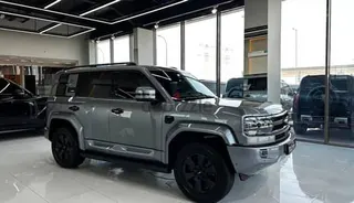 بي واي دي F 5 2026
