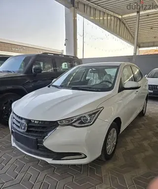 شانجان السفين 2027