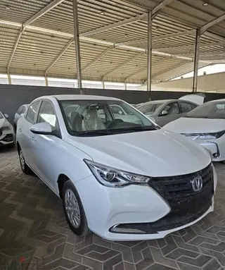 شانجان السفين 2027