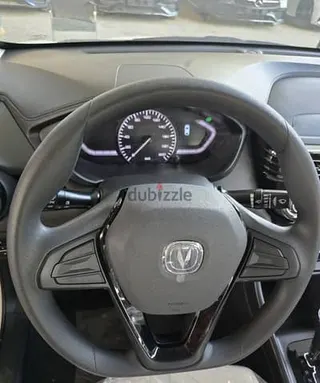 شانجان السفين 2027
