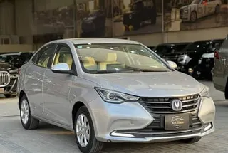 شانجان السفين 2024