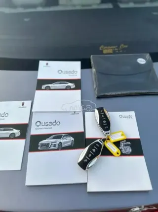 هونغ تشي Ousado 2025