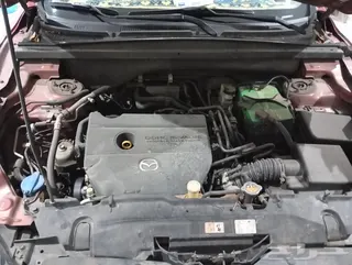 Faw V 80 2018