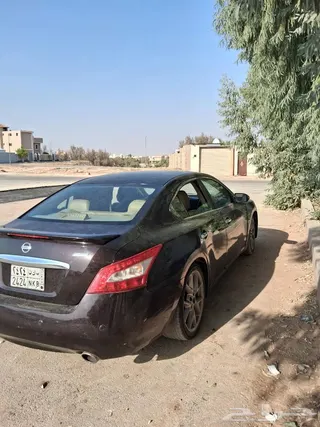 نيسان مكسيما 2011