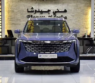 جيلي ستارراي 2025 — OneClickDrive
