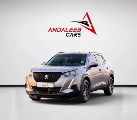 Peugeot 2008 2022