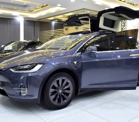 Tesla Model X 2019