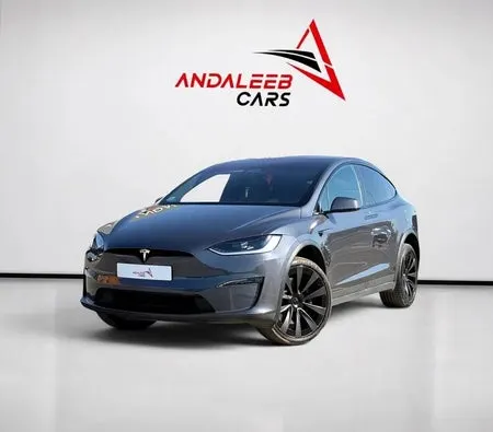 Tesla Model X 2023