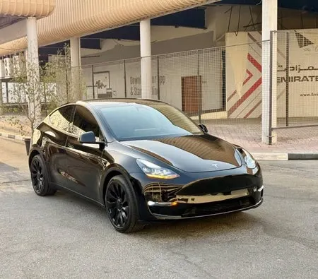 Tesla Model Y 2024