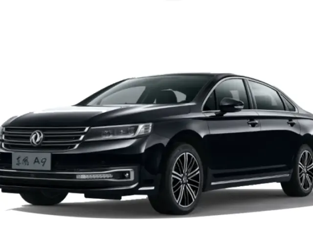 Dongfong A 9 2024
