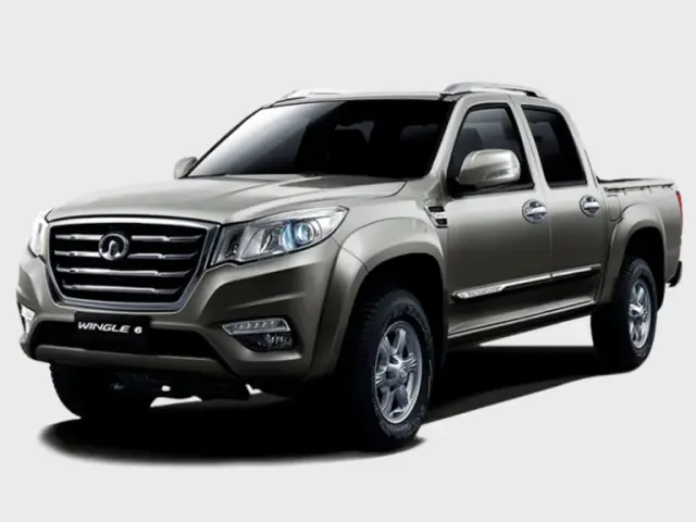 GWM Wingle 6 2009