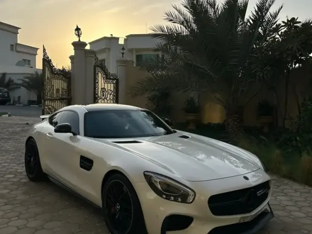 Mercedes-Benz Gts 2016