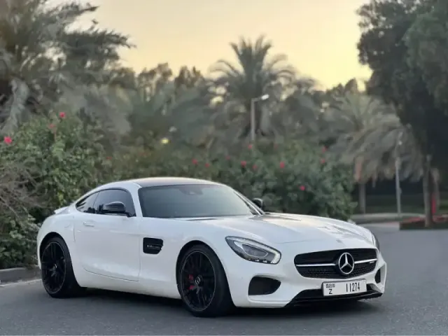 Mercedes-Benz Gts 2015