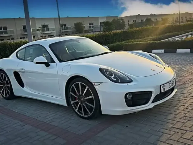 Porsche Cayman 2014