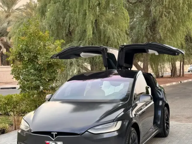 Tesla Model X 2019