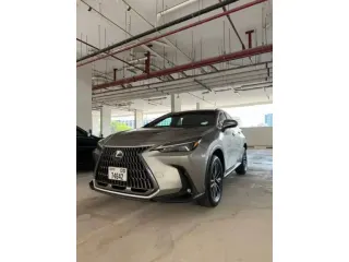 Lexus NX 2024 — Auto Trader UAE