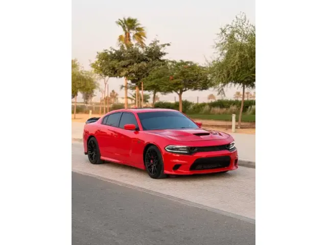 2018 Dodge Charger Hellcat0