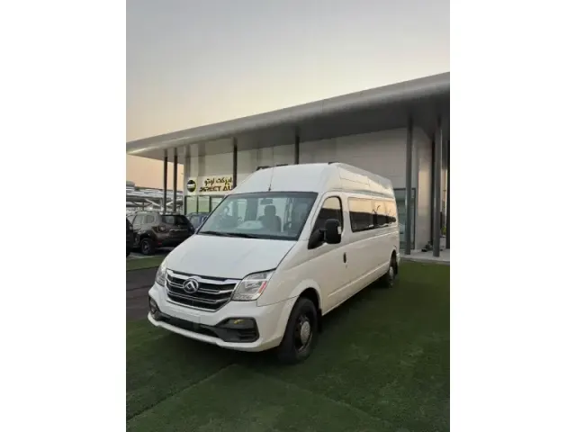 Maxus V80 2020