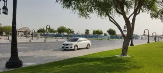 Toyota Corolla 2013 — MzadQatar