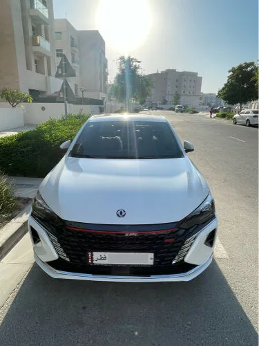 Dongfeng Shine 2024 — MzadQatar