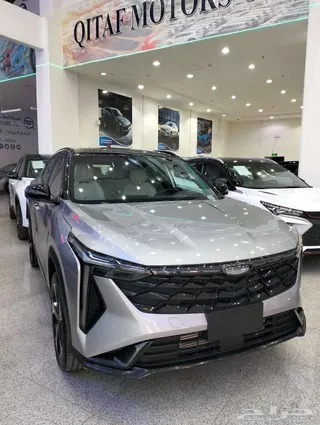 جيلي سيتي راي 2025