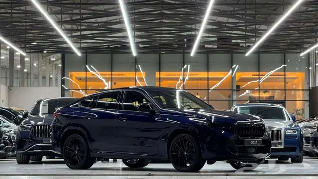BMW X6 2024