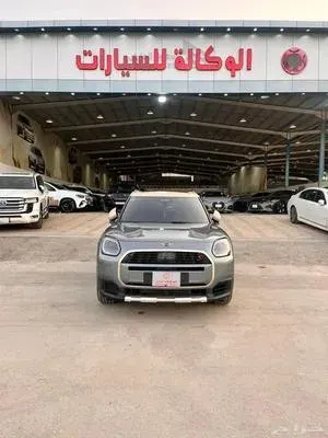 Mini Country Man 2025