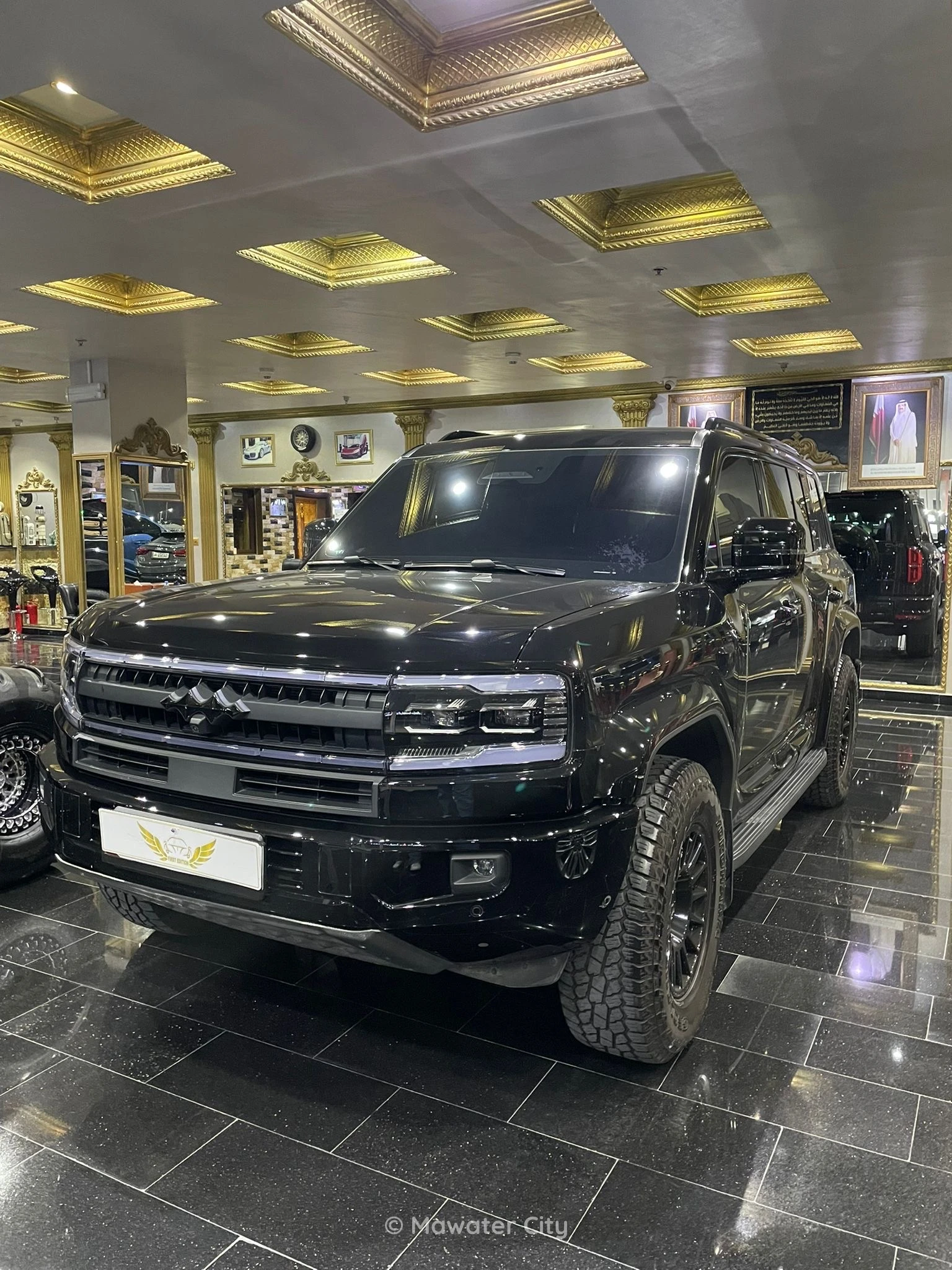 Byd Leopard 5 2025 — Mawater City