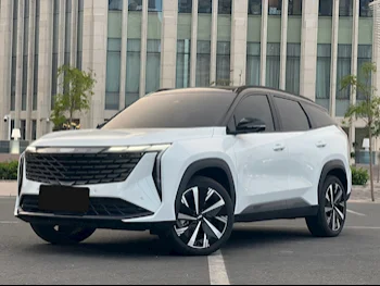 Geely Starray 2025 — QatarSale