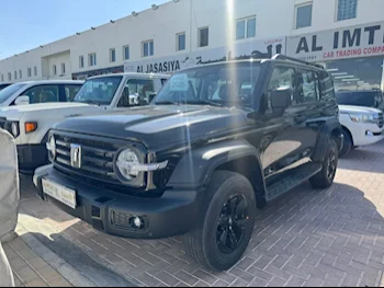 Tank 300 2025 — QatarSale