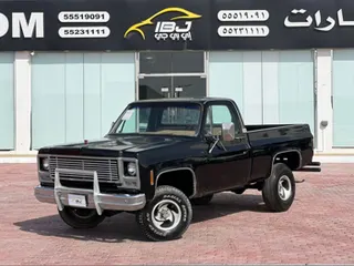 جي إم سي Classic 1976