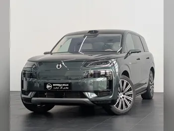 BYD Denza 2025