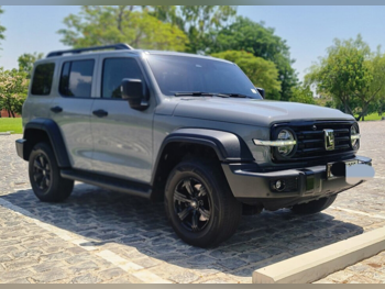 Tank 300 2025 — QatarSale