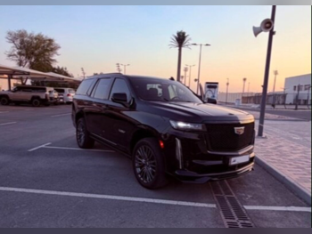 Cadillac Escalade 2023 — QatarSale