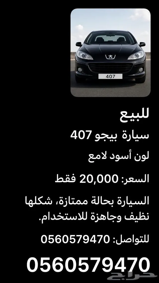 Peugeot 407 2009 2009