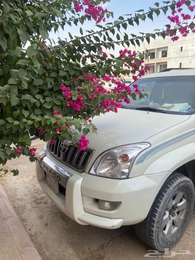 Toyota Prado 2008