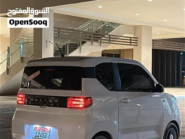 Wuling Air Ev 2021