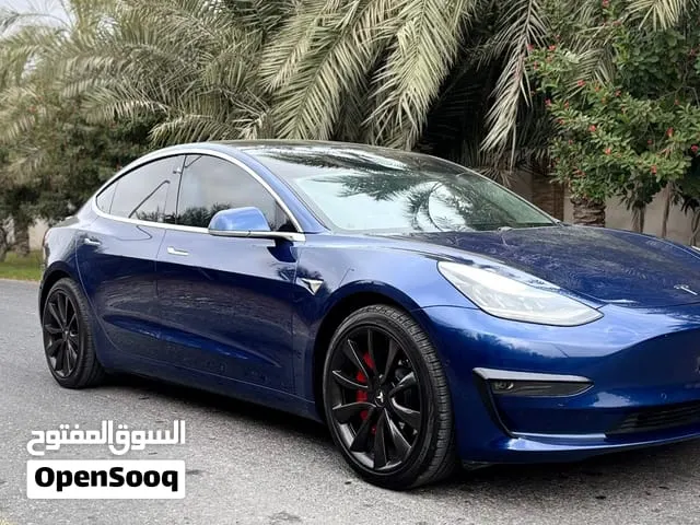 Tesla Model 3 2020