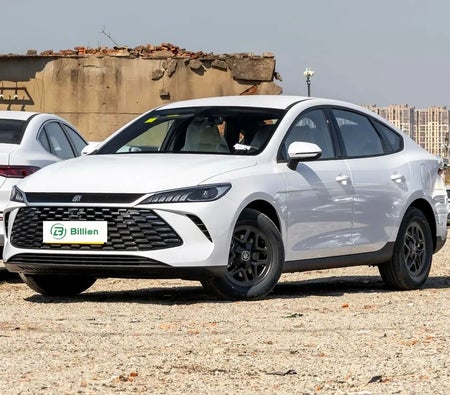 Byd Qin Plus 2025 — OneClickDrive