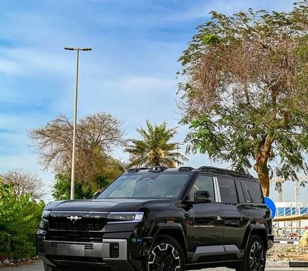 Byd Leopard 8 2025 — OneClickDrive