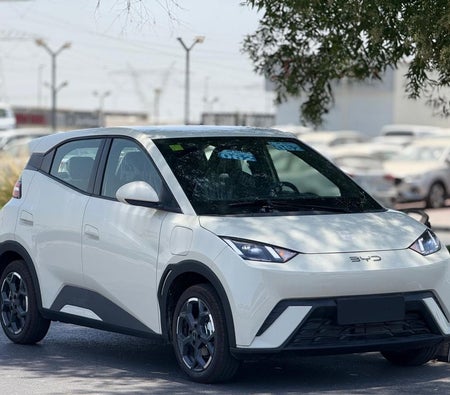 Byd Seagull 2025 — OneClickDrive