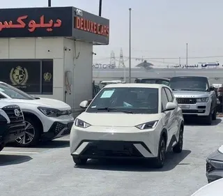 بي واي دي Seagull 2025