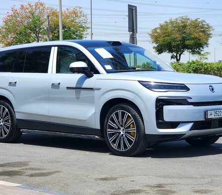 Byd Denza 2025 — OneClickDrive